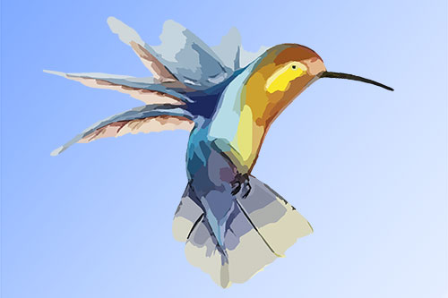 Showcase your Calgary and surrounding locations Visual Arts services to local customers.