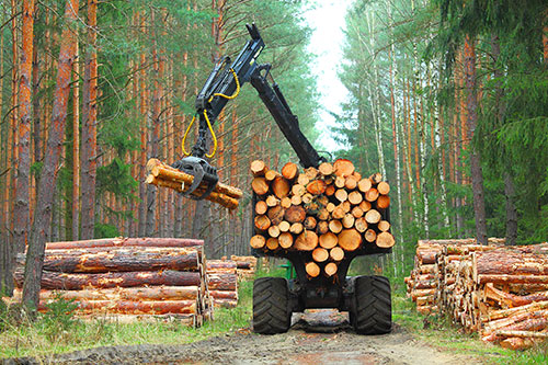 Showcase your forestry construction business to Airdrie and surrounding area customers.