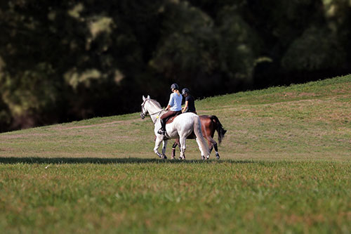 Advertise your local area activities to residents and tourists alike.